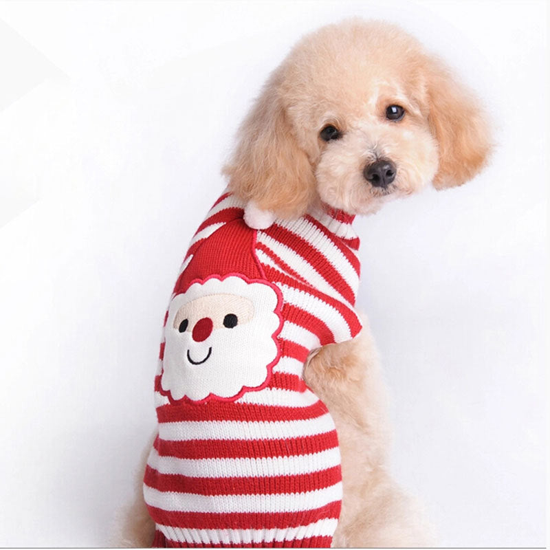 Cozy Dog Christmas Sweater - Daily Pawfection