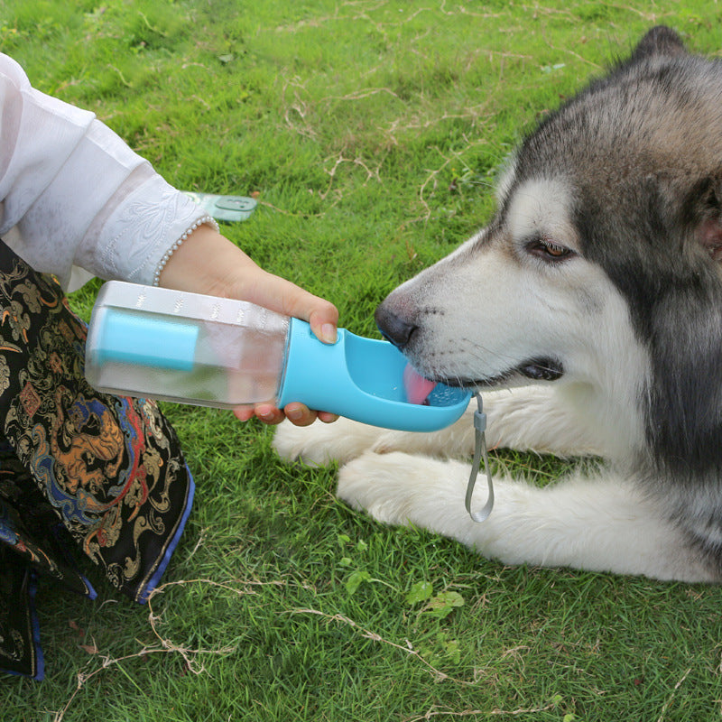 Innovative 3-in-1 Pet Travel Essentials - Daily Pawfection