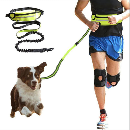 Hands Free Dog Leash with Hands-fee Strap - Daily Pawfection