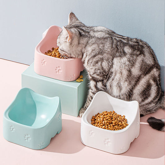 Elegant Ceramic Pet Bowl for a Stylish Dining Experience - Daily Pawfection