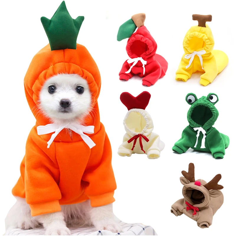 Vibriant Fruity Dog Hoodie - Daily Pawfection