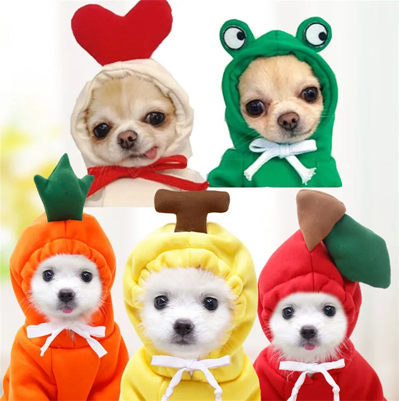 Vibriant Fruity Dog Hoodie - Daily Pawfection