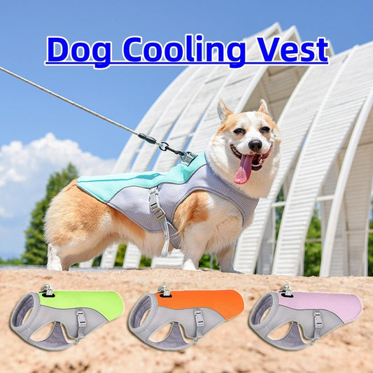 Dog Cooling Vest with UV protection - Daily Pawfection